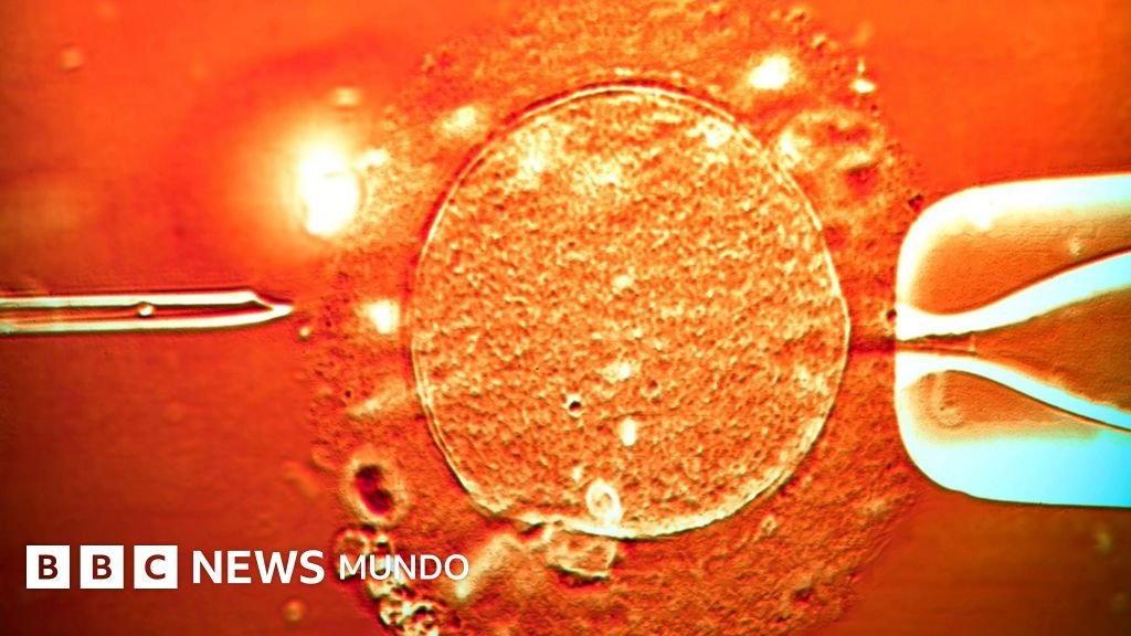 Un donante con un gen cancerígeno contribuyó a la concepción de casi 200 niños: "Varios han desarrollado tumores y algunos ya han fallecido"