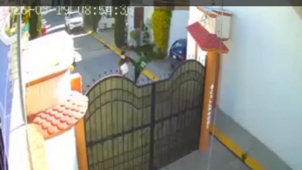 Joven con autismo agredido por el ladrido de sus perros: un acto brutal de violencia