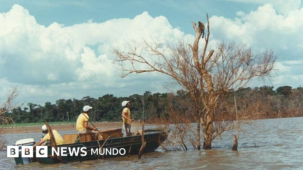 Mymba Kuéra: el asombroso rescate de más de 30.000 animales durante la construcción de la represa de Itaipú entre Paraguay y Brasil