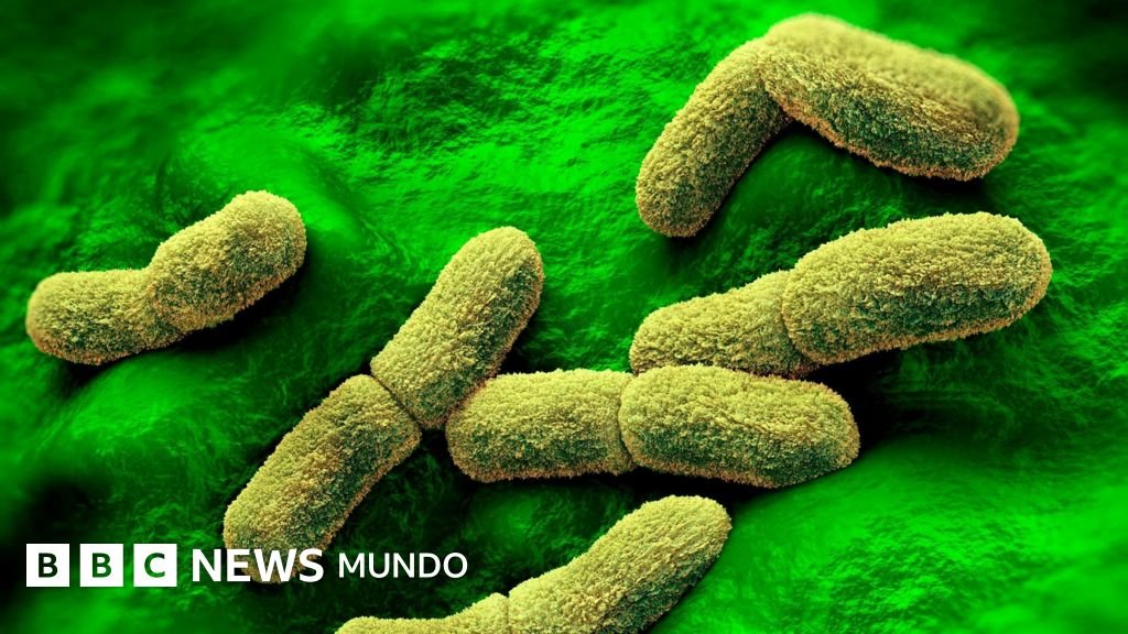 Lo que se conoce sobre la muerte de la científica rusa en un centro de investigación de peste en Siberia que alarma a EE.UU. y otras naciones